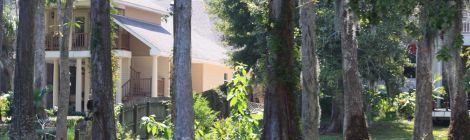 Upes lejtece Misisipi deltā