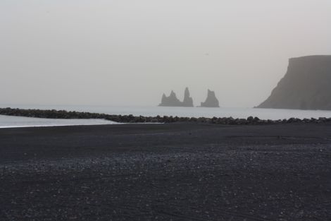 Islande melna pludmale