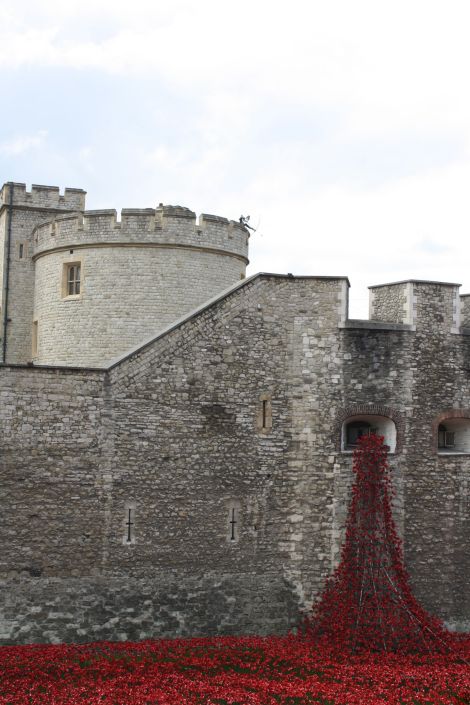 Instalācija pie Londonas torņa 1.pasaules kara sākuma 100.gadei