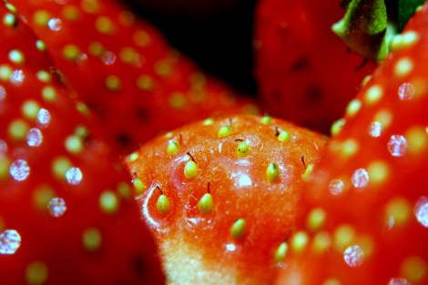 4666822786_edb267b9b5_o